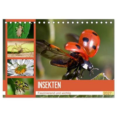 Insekten. Faszinierend und wichtig (Tischkalender 2027 DIN A5 quer), CALVENDO Monatskalender