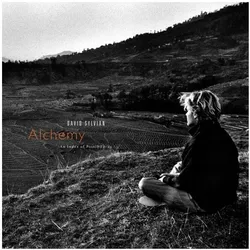 Amped, Schallplatten, Alchemy: An Index Of Possibilities (David Sylvian)