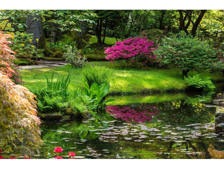 Fototapete PAPERMOON GARTEN-BLUMEN BÄUME PFLANZEN STEINE WALD PARK BLÜTEN , bunt, B:3m L:2,23m, Vlies, Tapeten, Fototapete
