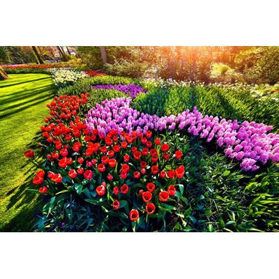 Fototapete PAPERMOON "Blumen im Garten", bunt, B:4,5m L:2,8m, Vlies, Tapeten