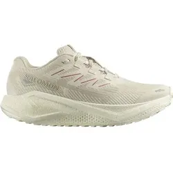 SALOMON Damen Laufschuhe SHOES AERO BLAZE 3 GRVL W Vanila/Vanila, Größe 42 in Grau Grau