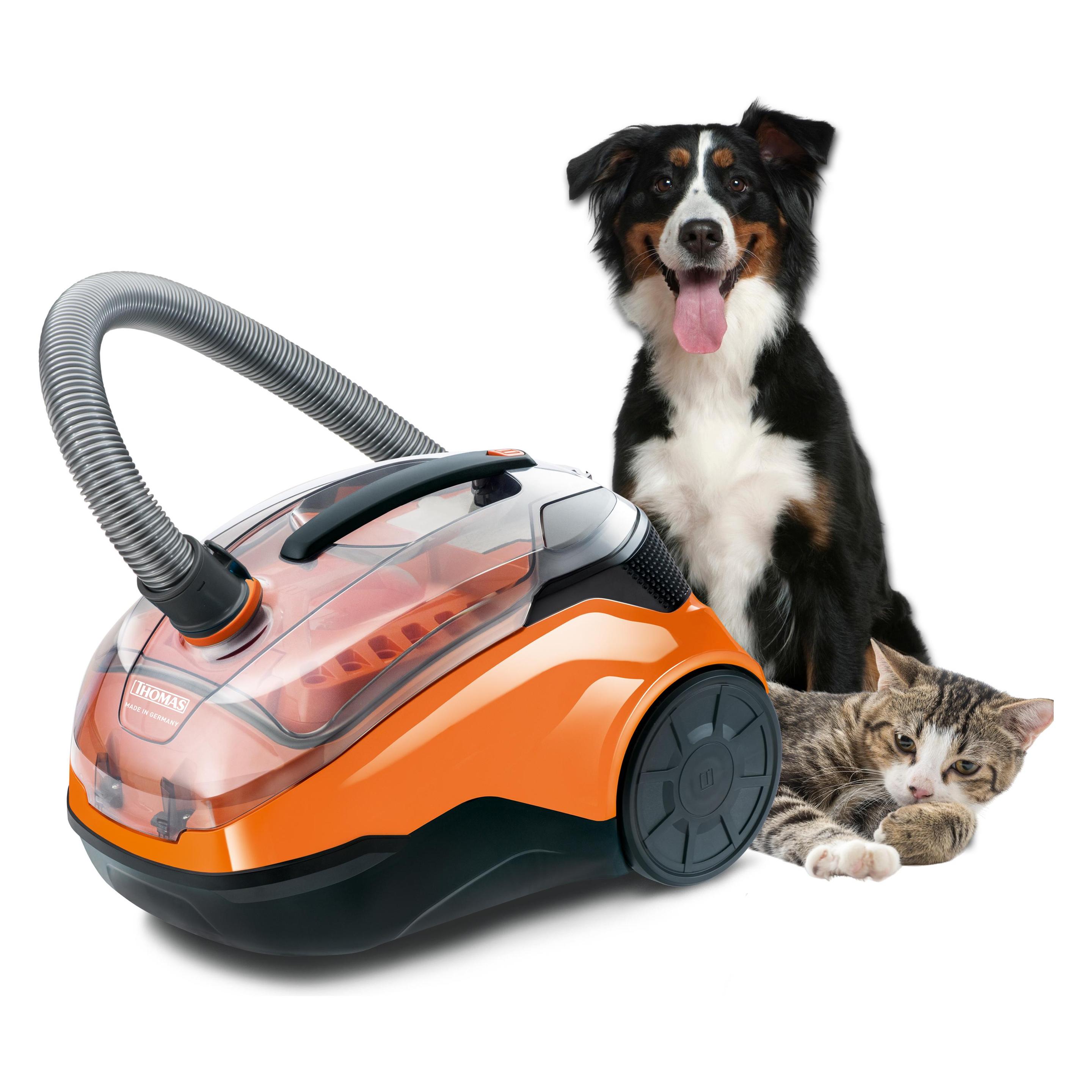 Thomas Cycloon Hybrid Family & Pets (786552)