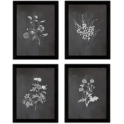 POSTER Set mit 4 Botanischen Stils Sensitive A3 Rahmenlos