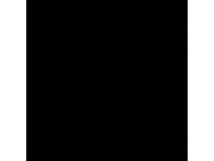 Bresser BR-9 Achtergronddoek 3x6m Zwart