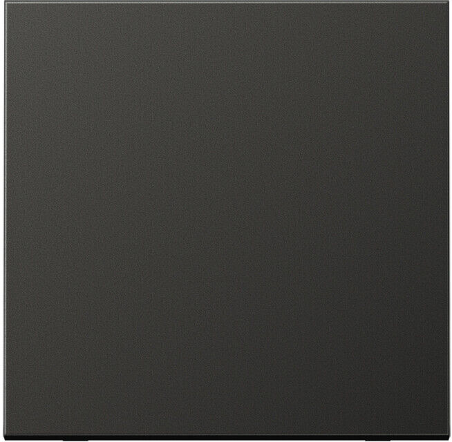 Jung Wippe anthracite pour bouton-poussoir AL 2990 AN (AL2990AN)
