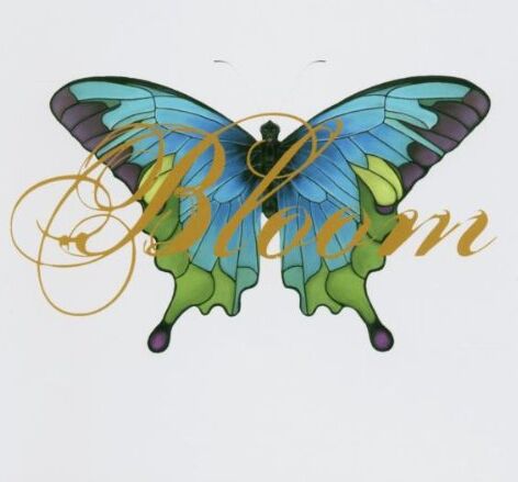 Sarah McLachlan - Bloom (Remix Album) - Preis vom 01.10.2026 17:08:56 h