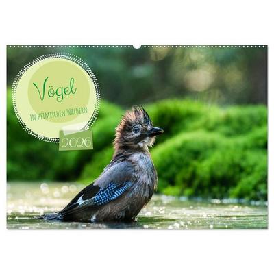 Vögel in heimischen Wäldern (Wandkalender 2026 DIN A2 quer), CALVENDO Monatskalender
