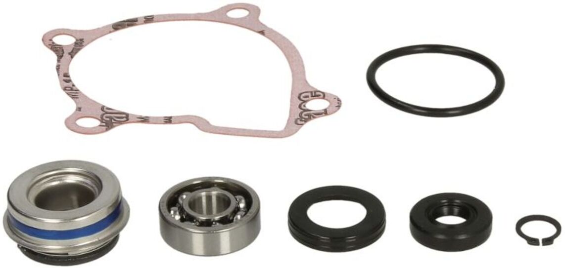 Pompe à eau WINDEROSA W821865