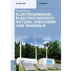 Elektroenergie: Elektrochemisch nutzen, speichern und wandeln, Fachbücher von Rudolf Holze