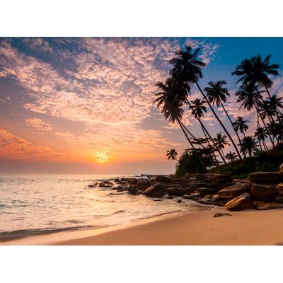 Fototapete PAPERMOON "Palm Beach Sri Lanka", bunt, B:4m L:2,6m, Vlies, Tapeten