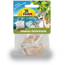 JR FARM Nager Himalaya Salzleckstein 80g Nahrungsergänzung für Kleintiere