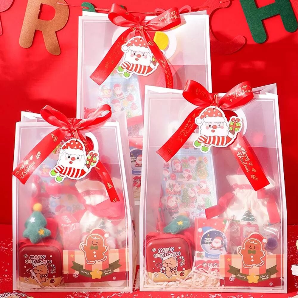 INF Kleine Weihnachtsgeschenktüte mit Band, Karte und Raffia - Festliche Feiertagsverpackung
