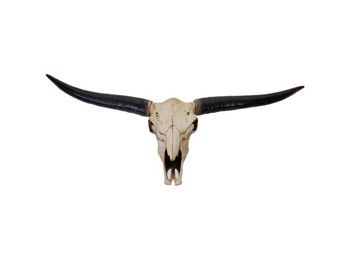 Jamb Deko Schädel Stier Beige, Schwarz, Stein, 132x56x15 cm, Bilder & Rahmen, Bilder, Wanddekoration