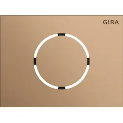 Gira Frontpl. Türstationsmodul Bronze 5579921