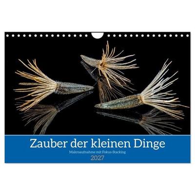 Zauber der kleinen Dinge (Wandkalender 2027 DIN A4 quer), CALVENDO Monatskalender