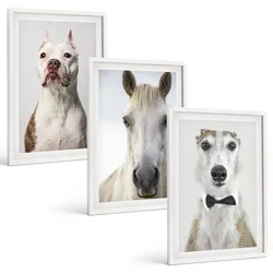BILDER SET 3er Set - 40x60 cm Weißer Rahmen - Elegante Porträts von Hunden und Pferden