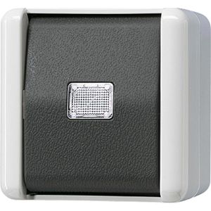 Jung Lichtschalter 831 W, WG 800, grau, Aufputz, Feuchtraum IP44, Tastschalter Schließer