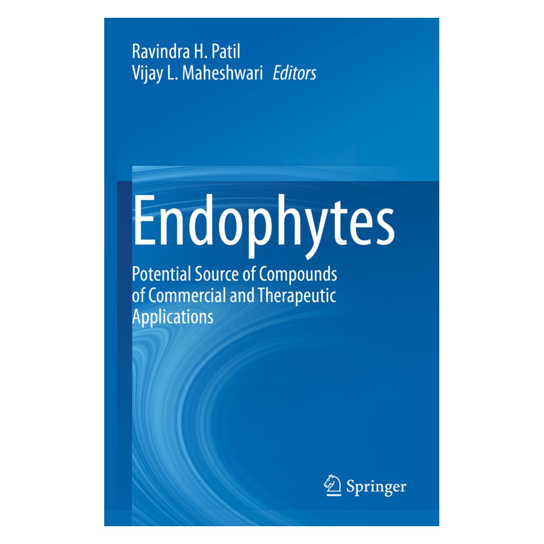Springer Endophytes (Englisch, Softcover, H Patil, L Maheshwari, Ravindra, Ravindra H. Patil, Vijay L. Maheshwari) (56825372)