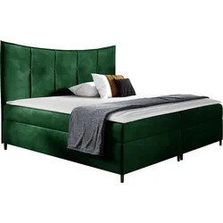 BOXBETT Bergamo - H3