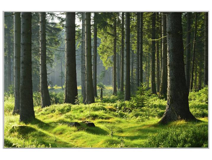 Bild mit Rahmen Hochwald image LAND