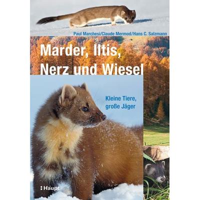 Marder, Iltis, Nerz und Wiesel, Gebundene Ausgabe von Paul Marchesi,Claude Mermod,Hans C. Salzmann, Haupt Verlag, 978-3-258-07465-8