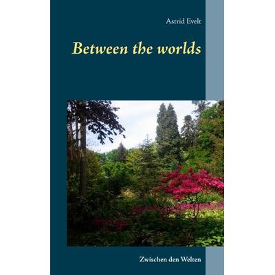 Between the worlds, Taschenbuch von Astrid Evelt, BoD – Books on Demand, 978-3-7347-3007-8
