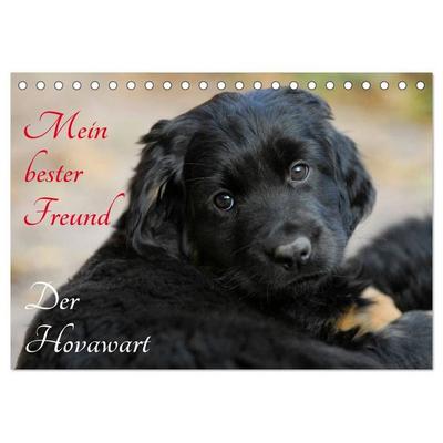 Mein bester Freund - Der Hovawart (Tischkalender 2027 DIN A5 quer), CALVENDO Monatskalender
