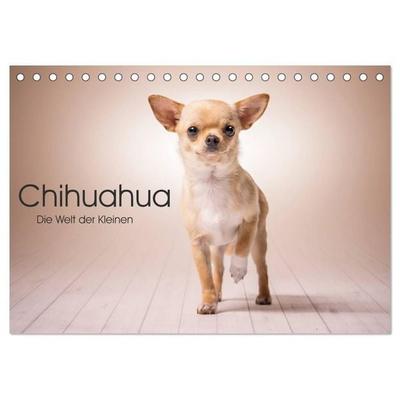 Chihuahua - Die Welt der Kleinen (Tischkalender 2027 DIN A5 quer), CALVENDO Monatskalender