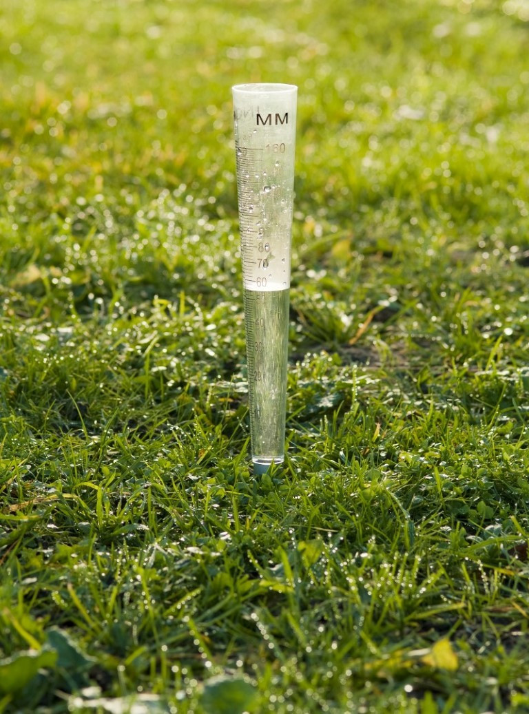 Ubbink Garden Regenmeter Transparant B/D/H: 4 x 4 x 30,8 cm