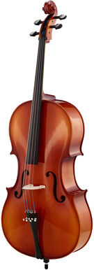 Roth & Junius Europe 4/4 Student Cello Set