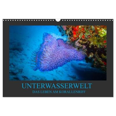 Unterwasserwelt - Das Leben am Korallenriff (Wandkalender 2027 DIN A3 quer), CALVENDO Monatskalender