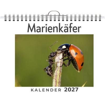 Marienkäfer