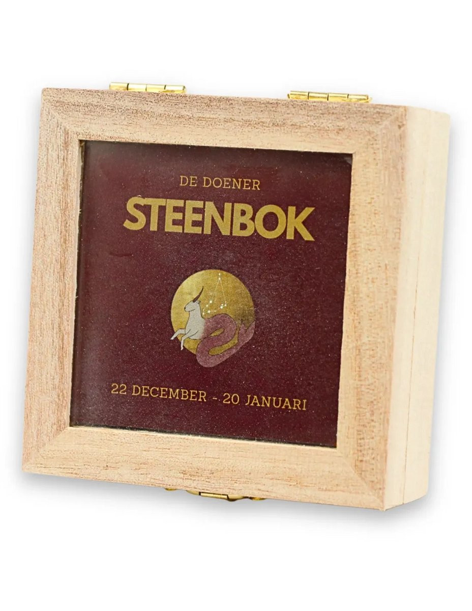 Sterrenbeeld trommelsteen setje Steenbok