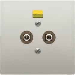 Jung Potential-Ausgl.Steckdose ES 2965-2