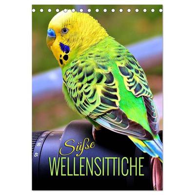 Süße Wellensittiche (Tischkalender 2027 DIN A5 hoch), CALVENDO Monatskalender