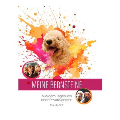 Meine Bernsteine, Taschenbuch von Claudia Nolf, Epubli, 978-3-8187-6934-5