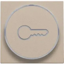 Niko Züblin 157-64009 Abdeckung mit transparentem Ring mit Schlüsselsymbol für 6 A Taster mi 15764009