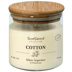 Wiedemann Kerzen Duftkerze im Glas "Cotton" 215g, 1 Stück