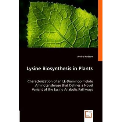 Andre Hudson: Lysine Biosynthesis in Plants, Taschenbuch von Andre Hudson,Thomas Leustek, VDM, 978-3-8364-8139-7