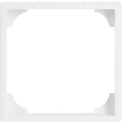 Busch-Jaeger Zentralscheibe davos/stws f.Abdeckplat.55x55mm 1747-84