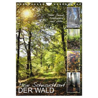 Mein Sehnsuchtsort, der Wald (Wandkalender 2027 DIN A4 hoch), CALVENDO Monatskalender