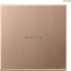 Jung BT BRG 17101 JUNG HOME Taster 1-fach mit Lichtleiter Metall PVD-beschichtet Serie
