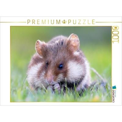 CALVENDO Puzzle Feldhamster | 1000 Teile Lege-Größe 64x48cm Foto-Puzzle für glückliche Stunden