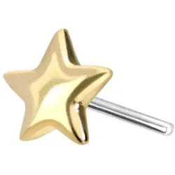 14 Karat Gold Aufsatz mit Titan Push Pin STERN
