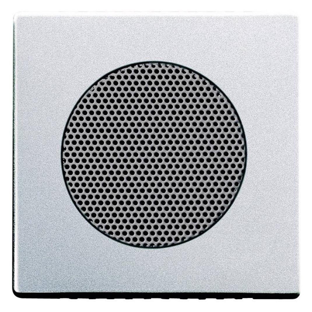 Busch-Jaeger Zentralscheibe (2CKA008200A0080)