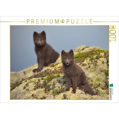 CALVENDO Puzzle Doppelgänger | 1000 Teile Lege-Größe 64x48cm Foto-Puzzle für glückliche Stunden