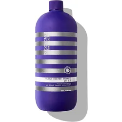Elgon, Shampoo, ColorCare - Silver Shampoo (Flüssiges Shampoo, 1000 ml)