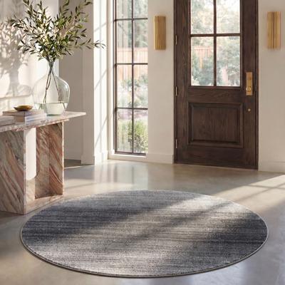 SAFAVIEH Adirondack Wilmy Ombre Distressed Rug