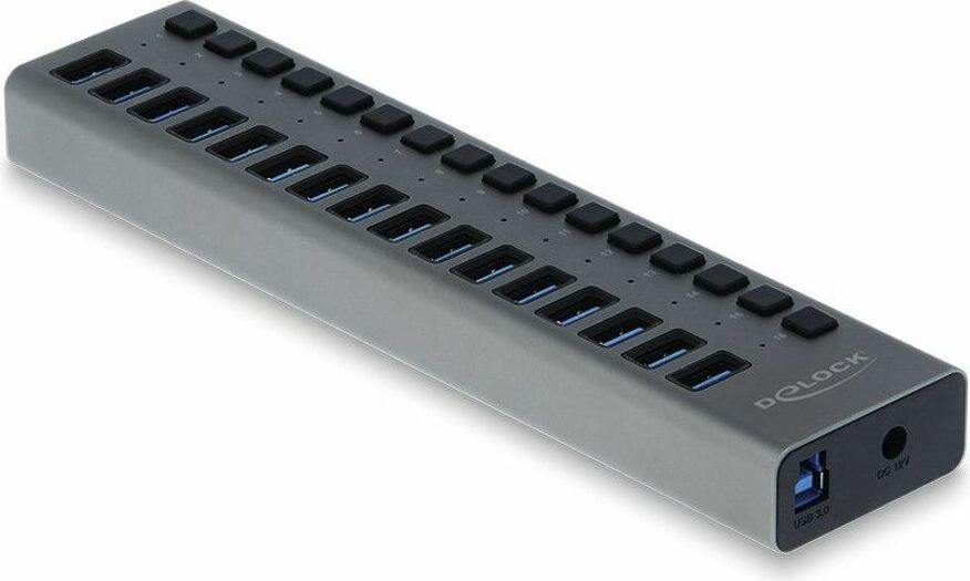 Delock Externe SuperSpeed USB-hub met 16 poorten en schakelaar