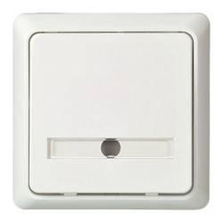 ELSO 506134 ELSO Taster 506134 42V/1A UP bel. RENOVIERUNG rw Taster Renovierung 10 St.